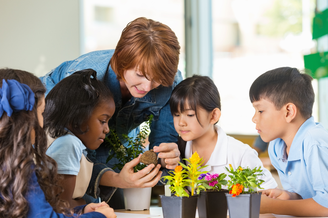 A private school teacher using plants to teach students.