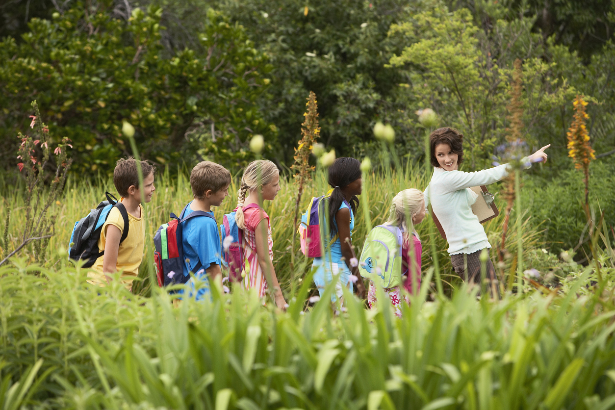 A Teacher Leads a Group of Students Through a Field During a Field Trip.